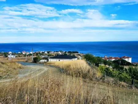 3.300 M2 Net Land Suitable For The Construction Of A Cooperative Site With Full Sea View For Urgent Sale In Tekirdag Barbarosta