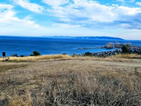 3.300 M2 Net Land Suitable For The Construction Of A Cooperative Site With Full Sea View For Urgent Sale In Tekirdag Barbarosta