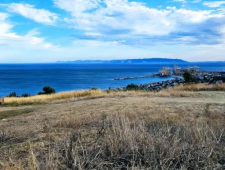 3.300 M2 Net Land Suitable For The Construction Of A Cooperative Site With Full Sea View For Urgent Sale In Tekirdag Barbarosta