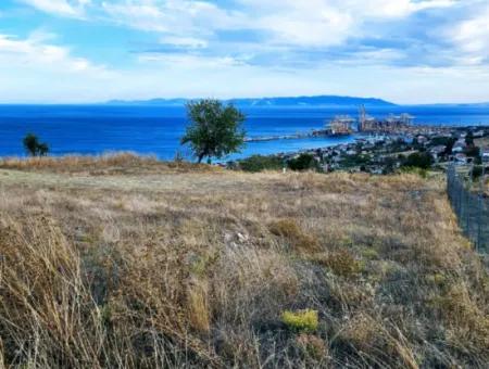 3.300 M2 Net Land Suitable For The Construction Of A Cooperative Site With Full Sea View For Urgent Sale In Tekirdag Barbarosta