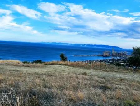 3.300 M2 Net Land Suitable For The Construction Of A Cooperative Site With Full Sea View For Urgent Sale In Tekirdag Barbarosta