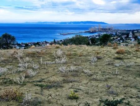 3.300 M2 Net Land Suitable For The Construction Of A Cooperative Site With Full Sea View For Urgent Sale In Tekirdag Barbarosta