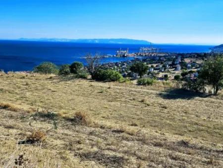 3.300 M2 Net Land Suitable For The Construction Of A Cooperative Site With Full Sea View For Urgent Sale In Tekirdag Barbarosta