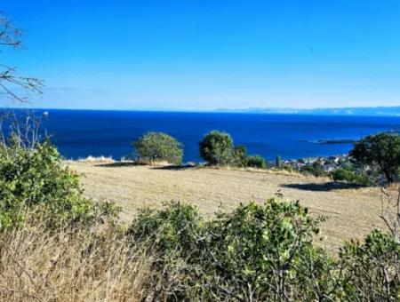 3.300 M2 Net Land Suitable For The Construction Of A Cooperative Site With Full Sea View For Urgent Sale In Tekirdag Barbarosta