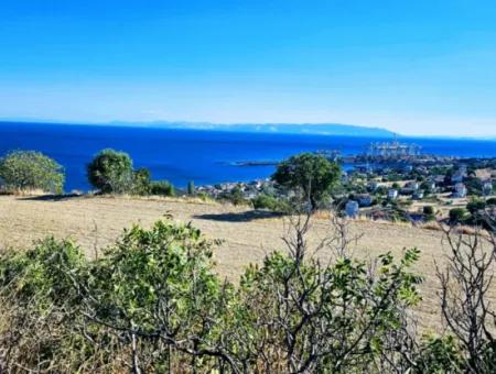 3.300 M2 Net Land Suitable For The Construction Of A Cooperative Site With Full Sea View For Urgent Sale In Tekirdag Barbarosta