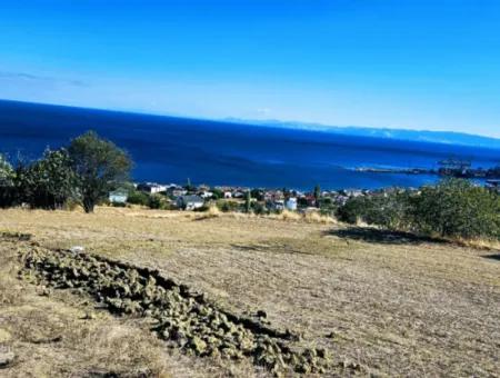 3.300 M2 Net Land Suitable For The Construction Of A Cooperative Site With Full Sea View For Urgent Sale In Tekirdag Barbarosta