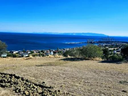 3.300 M2 Net Land Suitable For The Construction Of A Cooperative Site With Full Sea View For Urgent Sale In Tekirdag Barbarosta