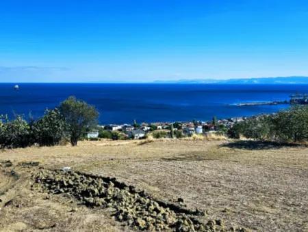 3.300 M2 Net Land Suitable For The Construction Of A Cooperative Site With Full Sea View For Urgent Sale In Tekirdag Barbarosta