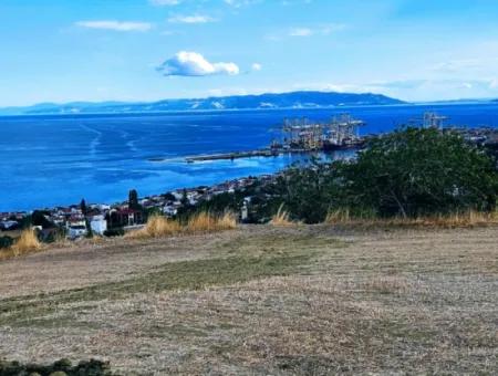 3.300 M2 Net Land Suitable For The Construction Of A Cooperative Site With Full Sea View For Urgent Sale In Tekirdag Barbarosta