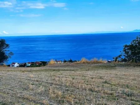 3.300 M2 Net Land Suitable For The Construction Of A Cooperative Site With Full Sea View For Urgent Sale In Tekirdag Barbarosta