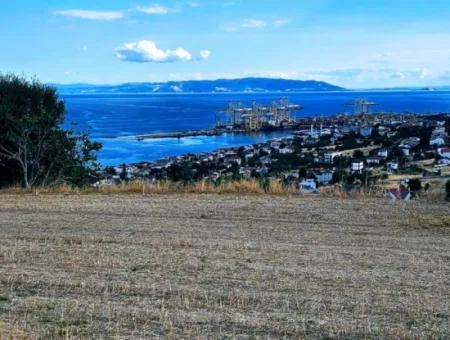 3.300 M2 Net Land Suitable For The Construction Of A Cooperative Site With Full Sea View For Urgent Sale In Tekirdag Barbarosta