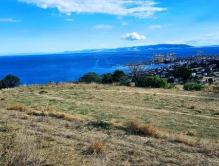 3.300 M2 Net Land Suitable For The Construction Of A Cooperative Site With Full Sea View For Urgent Sale In Tekirdag Barbarosta