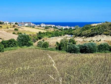 9.100 M2 Urgent Sale In Tekirdag Barbarosta Whether You Want To Make A Parcel Or Build A Villa High Profit Guarantee