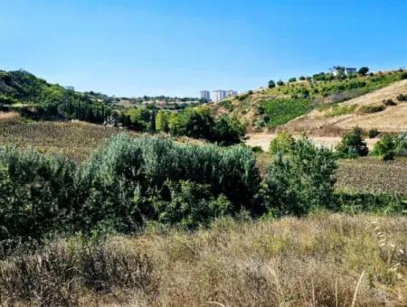 9.100 M2 Urgent Sale In Tekirdag Barbarosta Whether You Want To Make A Parcel Or Build A Villa High Profit Guarantee