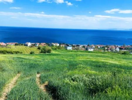 Tekirdag Barbarosta 42 Flats For Urgent Sale Cooperative And Suitable Place For Site Construction