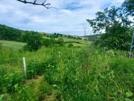 2.820 M2 Coupon Place Suitable To Put Tiny House In Nature For Urgent Sale In Tekirdağ Avşar Neighborhood