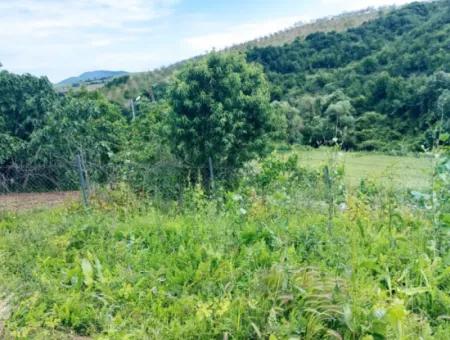 2.820 M2 Coupon Place Suitable To Put Tiny House In Nature For Urgent Sale In Tekirdağ Avşar Neighborhood