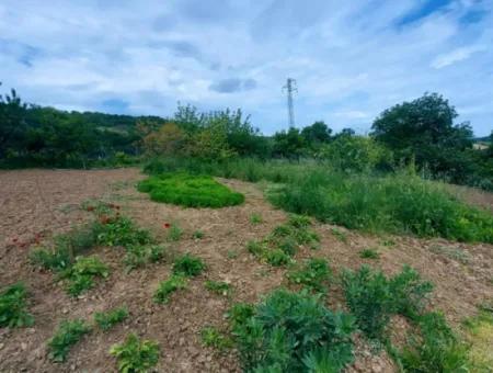 2.820 M2 Coupon Place Suitable To Put Tiny House In Nature For Urgent Sale In Tekirdağ Avşar Neighborhood