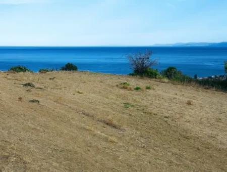 Coupon Land For Urgent Sale Suitable For Building Your Detached House With Wonderful Sea View In Tekirdag Barbarosta