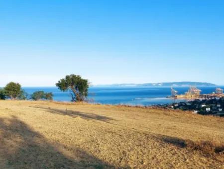 Coupon Land For Urgent Sale Suitable For Building Your Detached House With Wonderful Sea View In Tekirdag Barbarosta