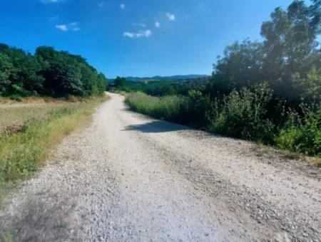 Coupon Field With Main Road Frontage Suitable For Nature Enthusiasts To Put Tiny House For Urgent Sale In Tekirdag Çanakçi Neighborhood