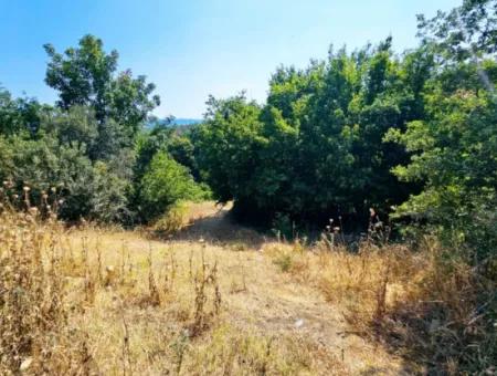 Coupon Field With Main Road Frontage Suitable For Nature Enthusiasts To Put Tiny House For Urgent Sale In Tekirdag Çanakçi Neighborhood