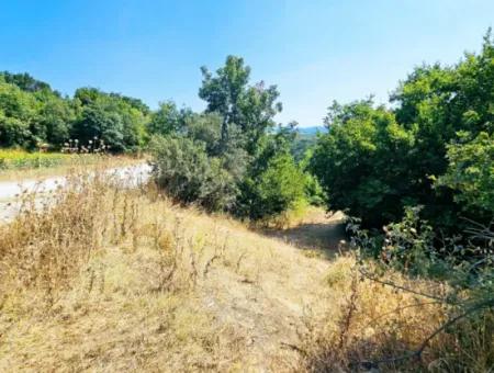 Coupon Field With Main Road Frontage Suitable For Nature Enthusiasts To Put Tiny House For Urgent Sale In Tekirdag Çanakçi Neighborhood