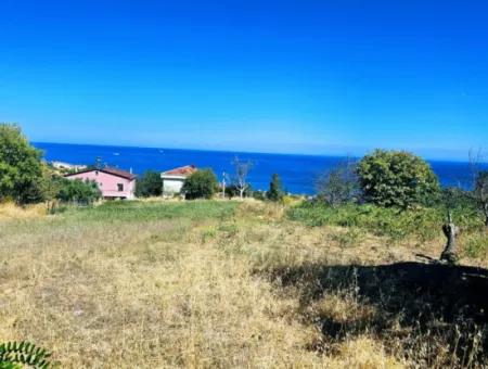 An Unmissable Opportunity For Those Looking For A Place For Urgent Sale 4 Side Road Façade Investment In Tekirdag Barbarosta