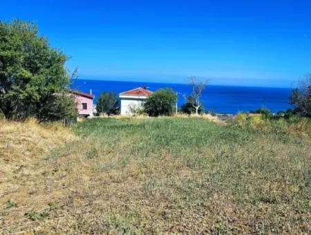 An Unmissable Opportunity For Those Looking For A Place For Urgent Sale 4 Side Road Façade Investment In Tekirdag Barbarosta