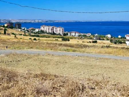 Coupon Land For Urgent Sale Suitable For Building A Detached House In Tekirdag Barbarosta