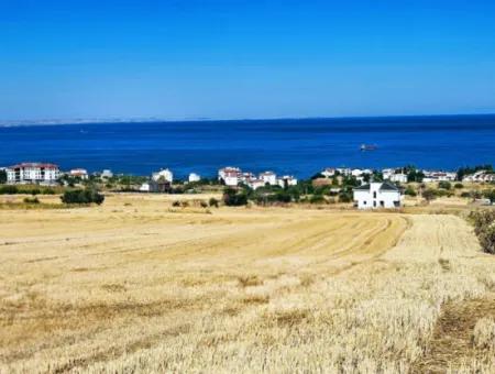 Coupon Land For Urgent Sale Suitable For Building A Detached House In Tekirdag Barbarosta