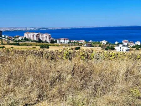 Coupon Land For Urgent Sale Suitable For Building A Detached House In Tekirdag Barbarosta