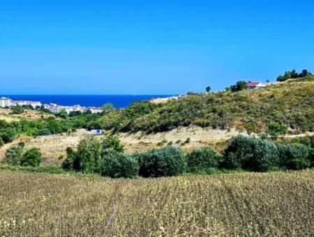 9.100 M2 Villa Zoned Field For Urgent Sale In Tekirdag Barbarosta