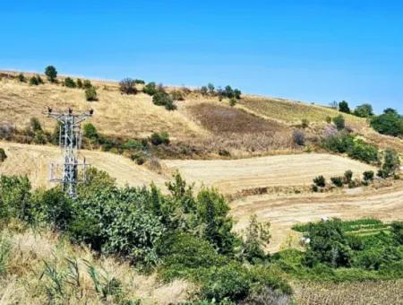 9.100 M2 Villa Zoned Field For Urgent Sale In Tekirdag Barbarosta