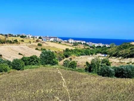 9.100 M2 Villa Zoned Field For Urgent Sale In Tekirdag Barbarosta