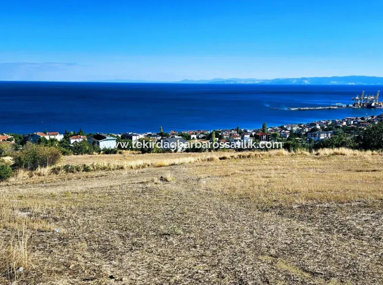 Tekirdağ Barbarosta Acil Satılık Full Deniz Manzaralı 25 Dairelik Kupon Yer