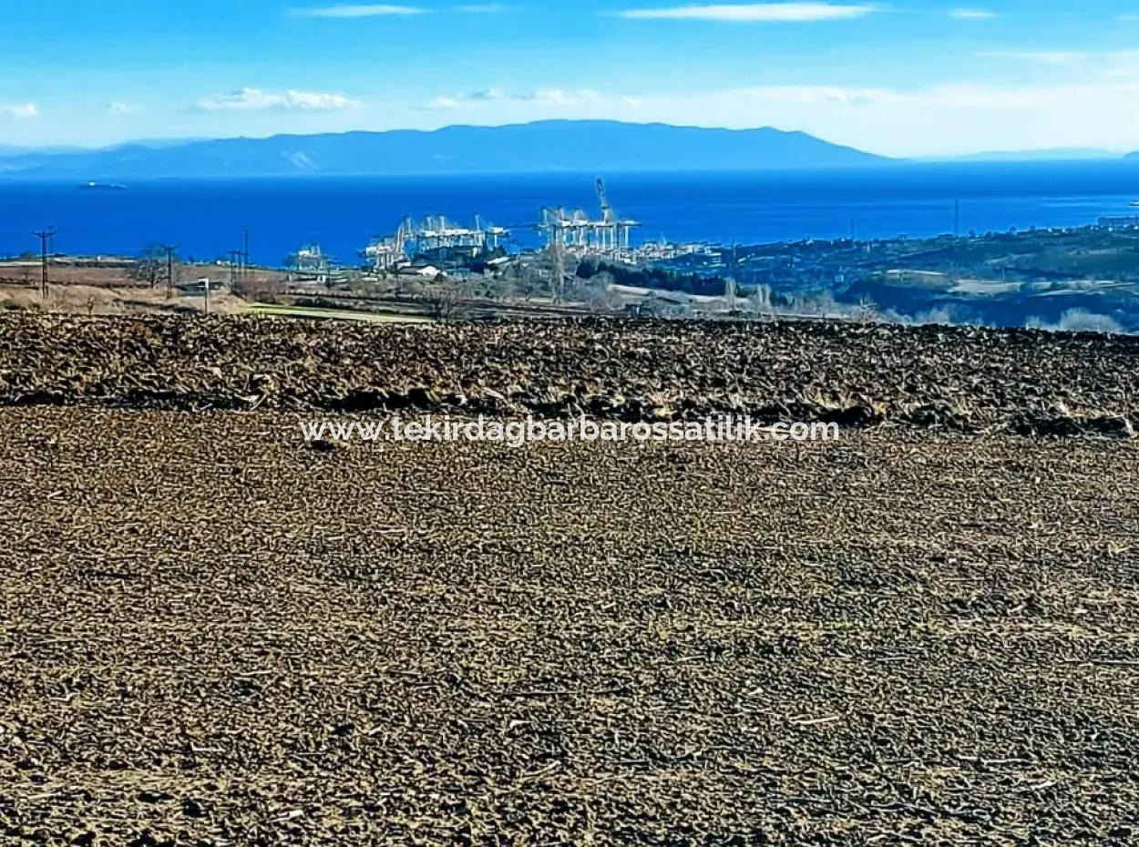 Acil Satılık Fabrikalar Bölgesinde 5.400 M2 Yüksek Kazanç Garantisi Fırsat Yer