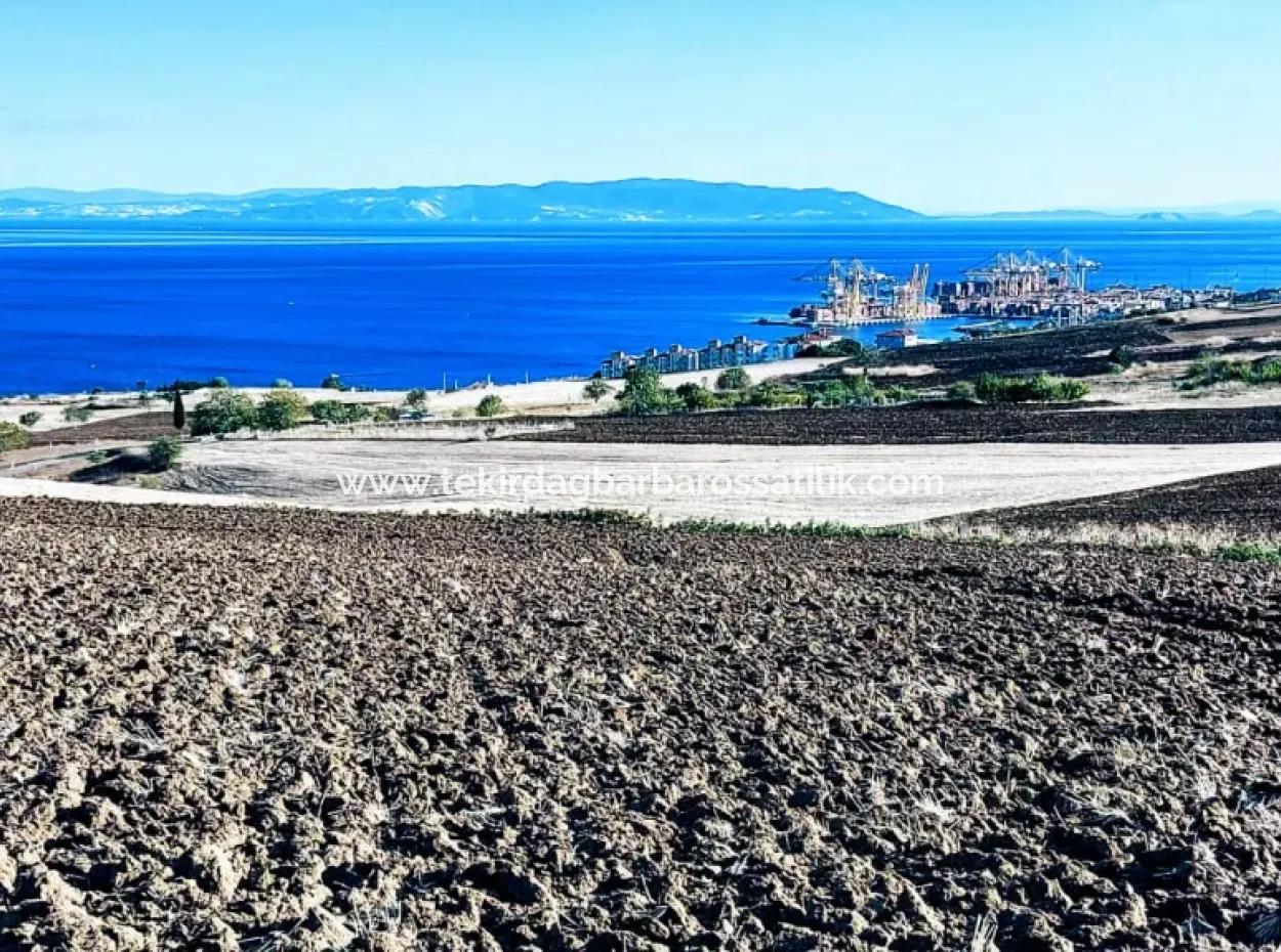 Tekirdağ Barbrosta Acil Satılık Yatırımcısına Yüksek Kazanç Garantisi 50 Dairelik Kooparetif Ve Site Yapımına Uygun Arazi