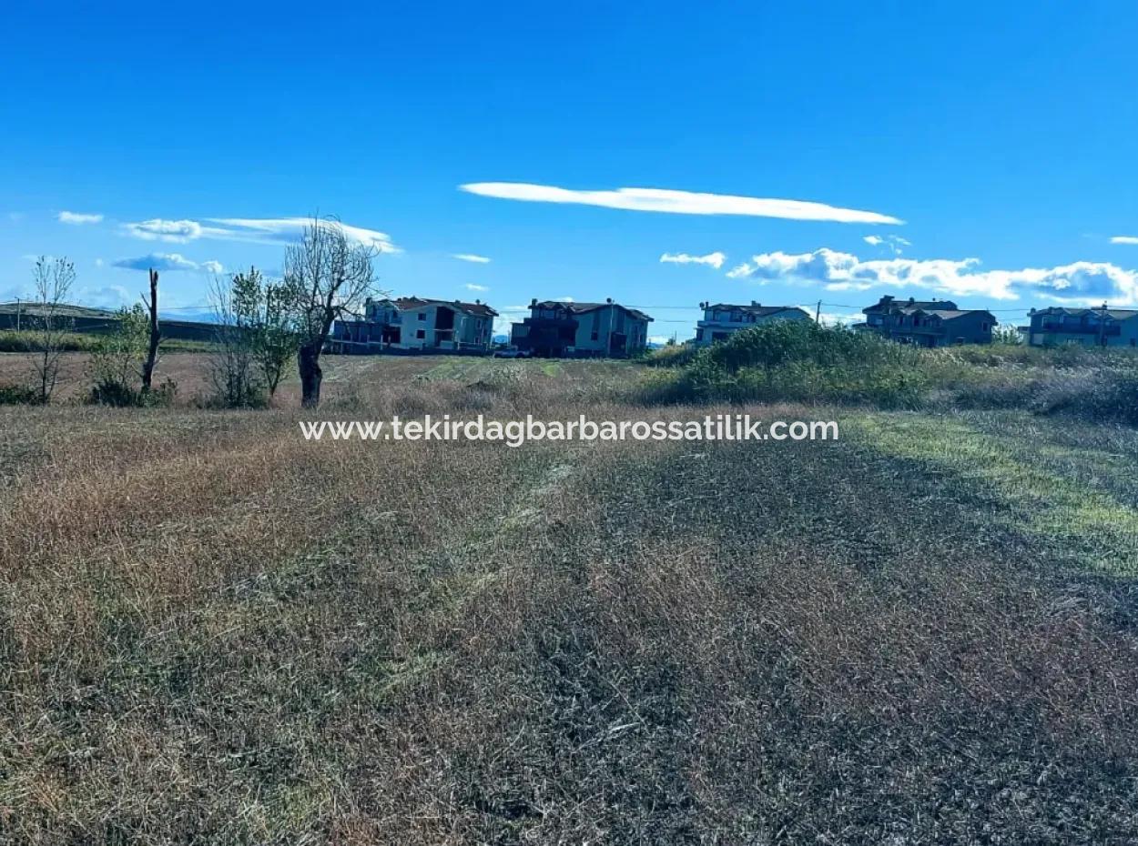 Tekirdağ Barbarosta Acil Satılık 15.000 M2 Villa İmarlı Arazi