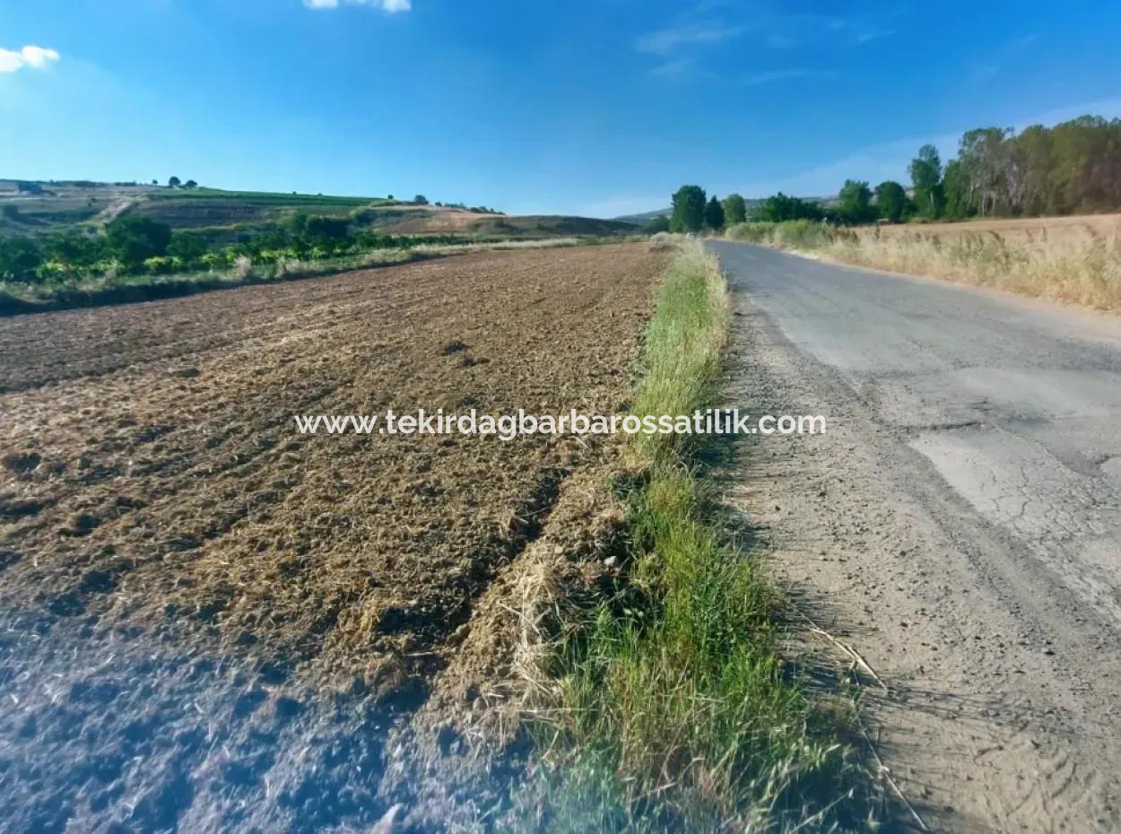 Tekirdağ Naip Mahallesinde Acil Satılık Anayol Cepheli Tıny House Kurmak İçin Harika Fırsat Tarla