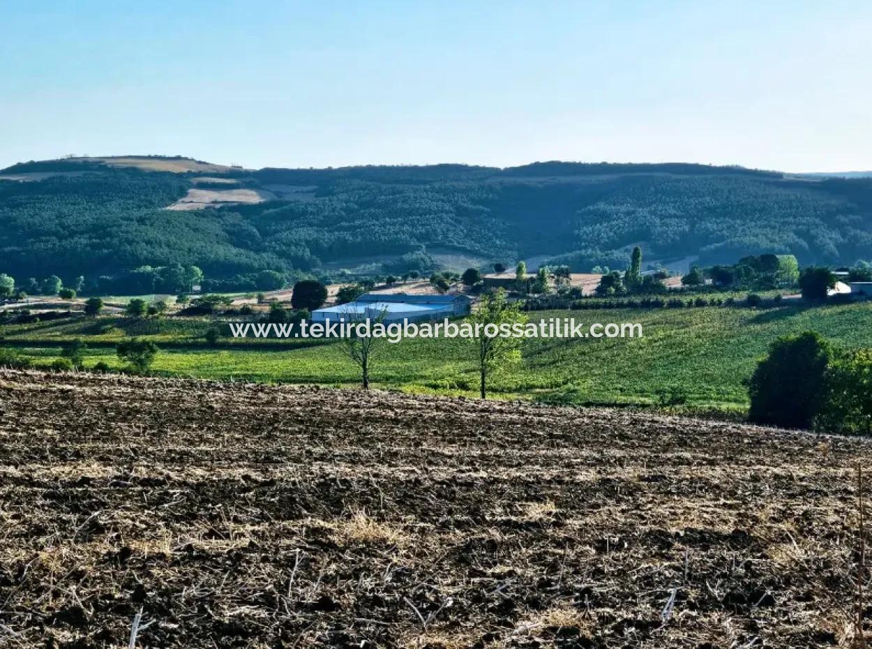 Azyaport Limanı Mevcut İmara Yakın 16.100 Acil Satılık Yatırımlık Kelepir Kupon Tarla