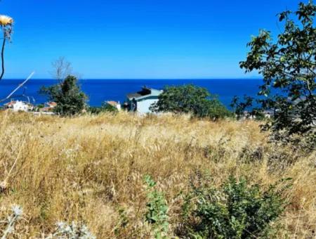 Tekirdağ Süleymanpaşa Barbaros'ta Deniz Manzaralı 6 Villa İçin Muhteşem Yatırım Fırsatı!