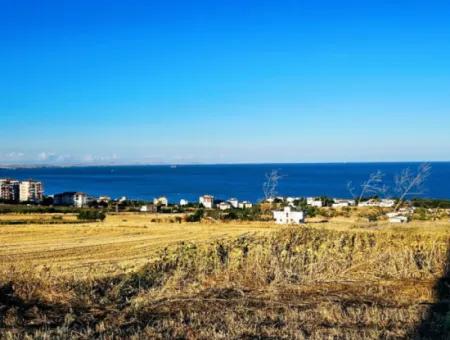 Tekirdağ Barbarosta  Acil Satılık 1.750 M2 Full Deniz Manzaralı Kelepir Köşe Arsa