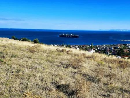 Tekirdağ Barbarosta Acil Satılık Hayelinizdeki Havuzlu Müstakil Evinizi Yapmaya Uygun Fırsat Arsa