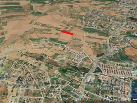 Tekirdağ Barbarosta Acil Satılık Kooparetif Ve Site Yapmaya Uygun. Yatırımcısına Yüksek Kaznç Garantisi