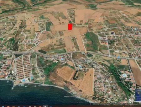 Tekirdağ Barbarosta Acil Satılık Kooparetif Ve Site Yapmaya Uygun. Yatırımcısına Yüksek Kaznç Garantisi