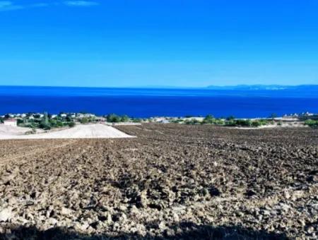 Tekirdağ Barbrosta Acil Satılık Yatırımcısına Yüksek Kazanç Garantisi 50 Dairelik Kooparetif Ve Site Yapımına Uygun Arazi