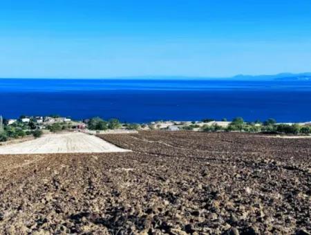 Tekirdağ Barbrosta Acil Satılık Yatırımcısına Yüksek Kazanç Garantisi 50 Dairelik Kooparetif Ve Site Yapımına Uygun Arazi