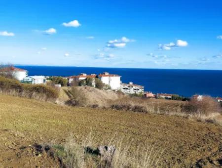 Tekirdağ Barbarosta Acil Satılık 42 Dairelik Kooparetif Site Yapımına Uygun Full Deniz Manzaralı Konut İmarlı Arazi