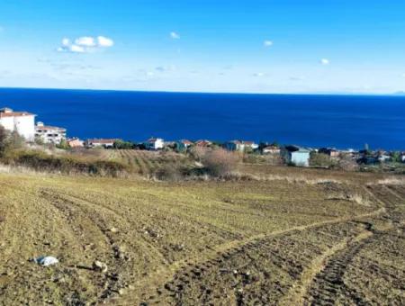 Tekirdağ Barbarosta Acil Satılık 42 Dairelik Kooparetif Site Yapımına Uygun Full Deniz Manzaralı Konut İmarlı Arazi